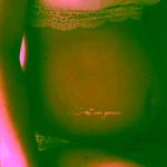 Ilado Pregnancy Tattoos Kit set dočasných těhotenských tetování