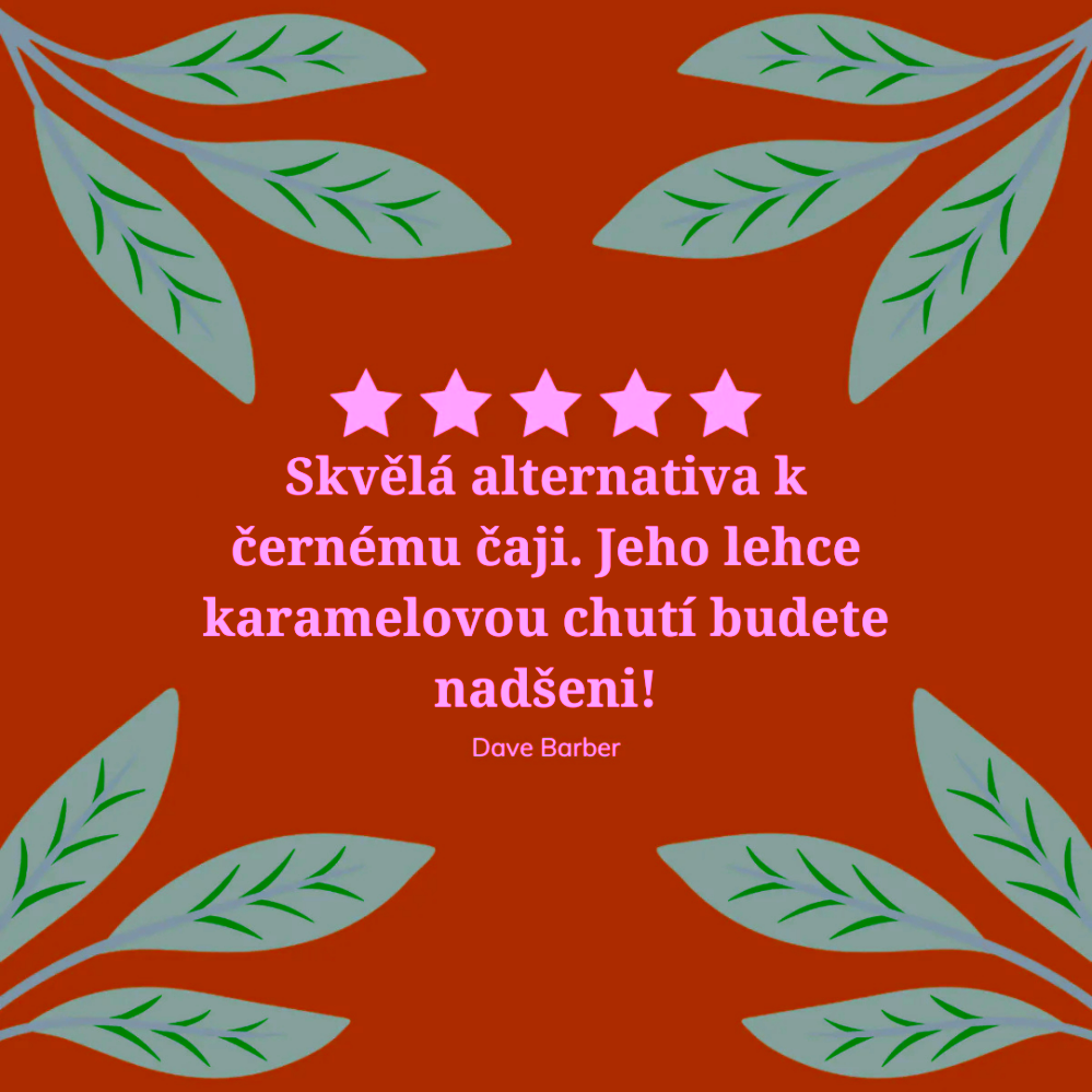 Hampstead Tea London BIO Rooibos červený čaj 20 ks