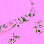 Ilado Worry Eater Cuddly Toy plyšová hračka