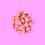 Šufan Makadamové ořechy natural ve skle