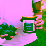 Šufan Odvařená švestka