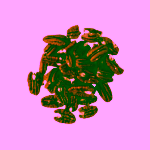 Šufan Pekanové ořechy pražené 200 g