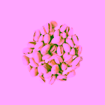 Šufan Pistácie pražené solené přirozeně otvírané