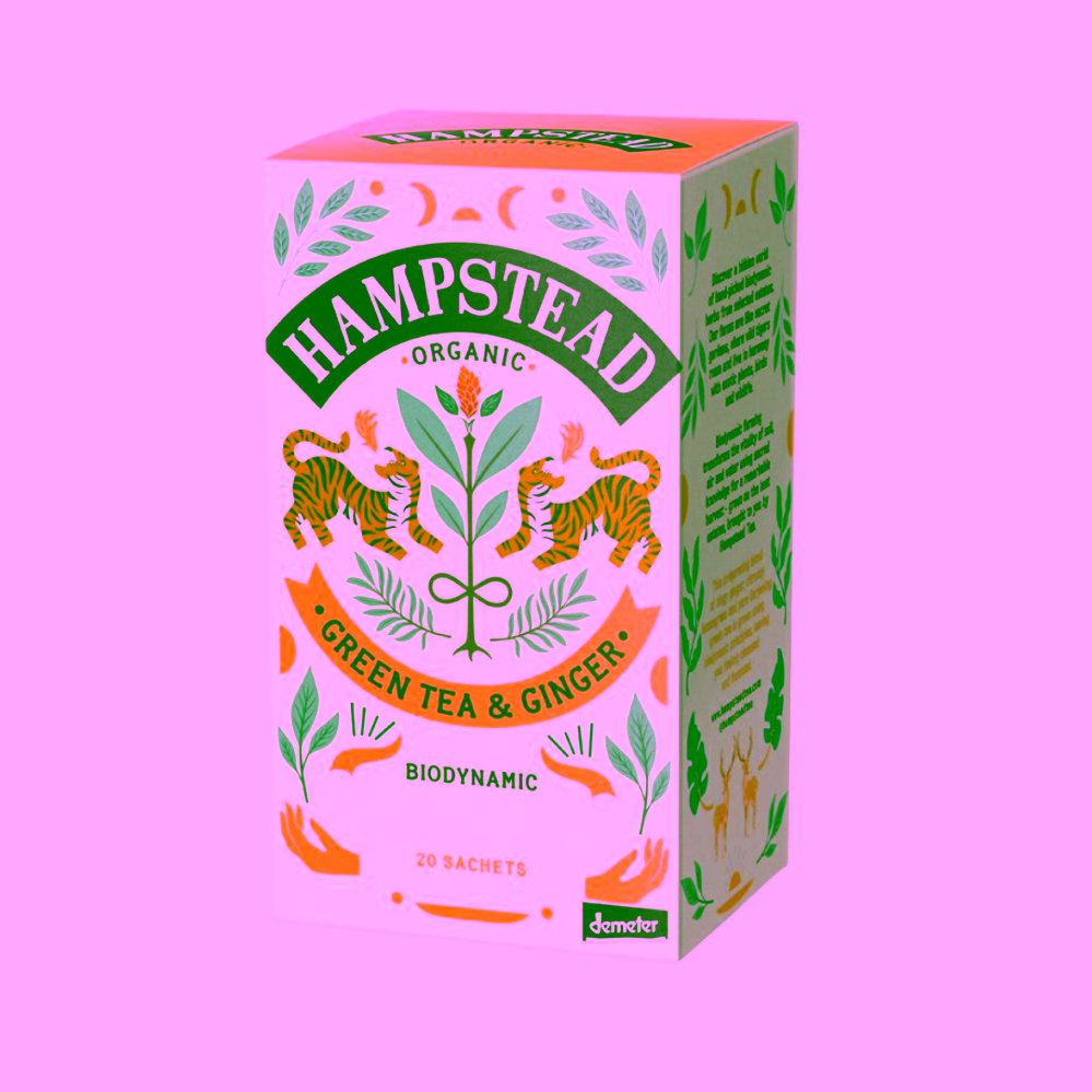 Hampstead Tea London BIO zelený čaj se zázvorem a citronovou trávou 20 ks