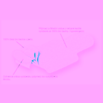 Organyc Bio dámské vložky slipové prodloužené