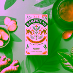 Hampstead Tea London BIO zelený čaj se zázvorem a citronovou trávou 20 ks