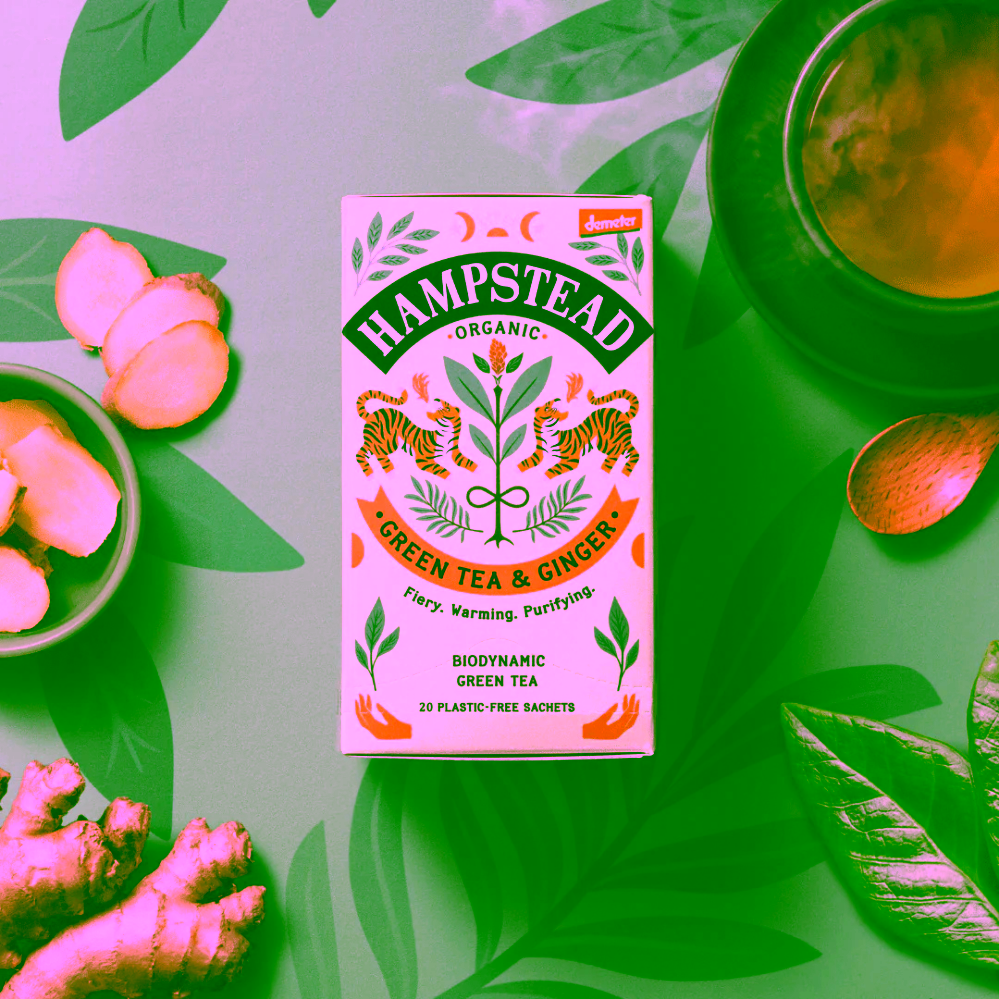 Hampstead Tea London BIO zelený čaj se zázvorem a citronovou trávou 20 ks