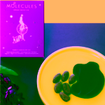 Naive fialová bioaktivní čokoláda bez cukru 72 % imunne molecules 20 g