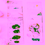 Yoga Day Karty s krystaly