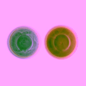 Bloomingville-kameninove-misky2 (2)