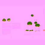 Příroda hrou Monika Meda Nováková, Kristýna Meiszrová