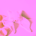 Ilado Cat Lovey for Harmony Ball plyšová kočka na bolu