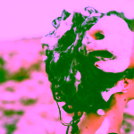 Nui Cosmetics Přírodní hydratační šampon na vlasy