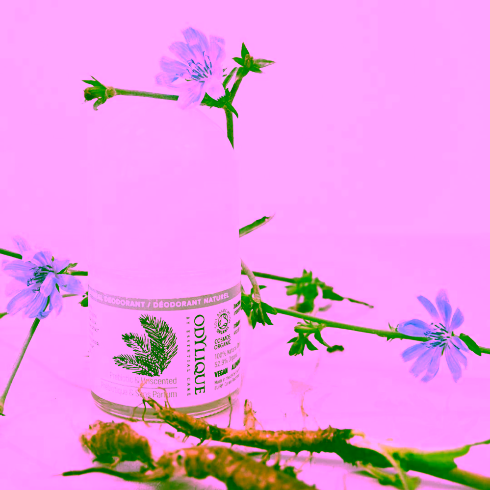 Odylique Prebiotický kuličkový deodorant bez vůně