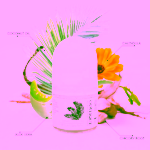 Odylique Prebiotický kuličkový deodorant bez vůně