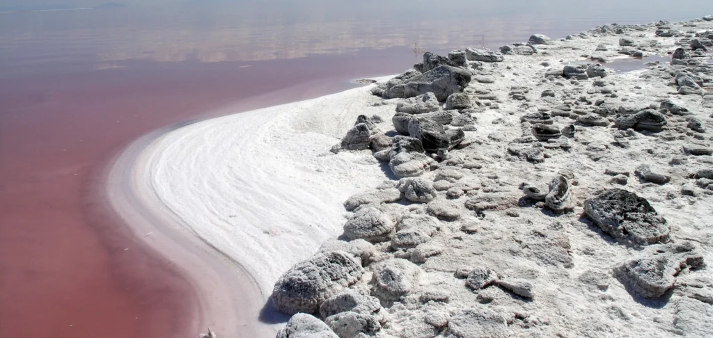 Trace Minerals Grate Salt Lake