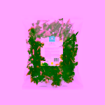 Porto-Muiños Bio Mořské řasy Dulse