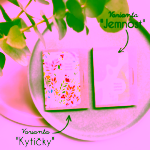 Biorythme Matující pleťové ubrousky