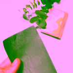 Biorythme Matující pleťové ubrousky