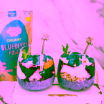 Organic Labs Organic Wild Blueberry Powder - prášek z lesních borůvek 70 g