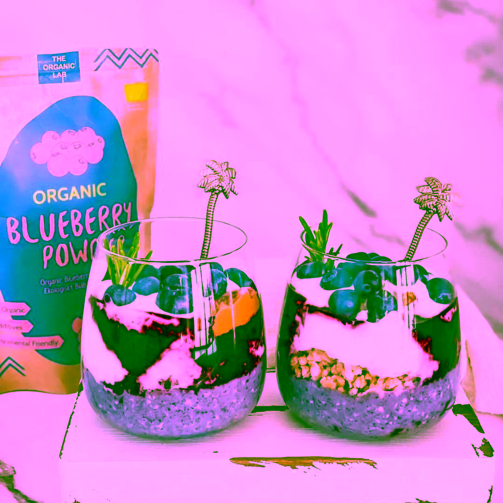 Organic Labs Organic Wild Blueberry Powder - prášek z lesních borůvek 70 g