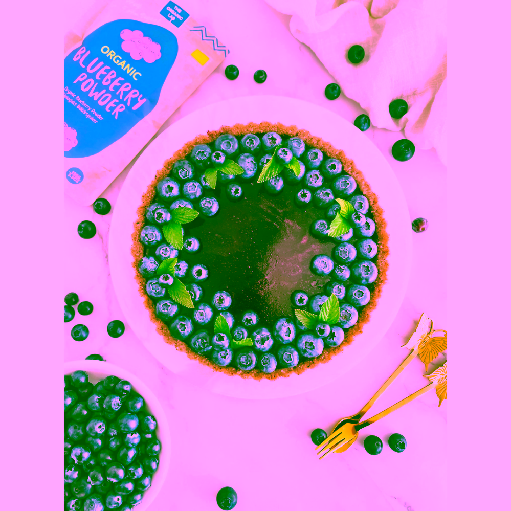 Organic Labs Organic Wild Blueberry Powder - prášek z lesních borůvek 70 g