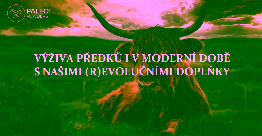 Paleo Powders Hovězí kostní dřeň grass-fed 