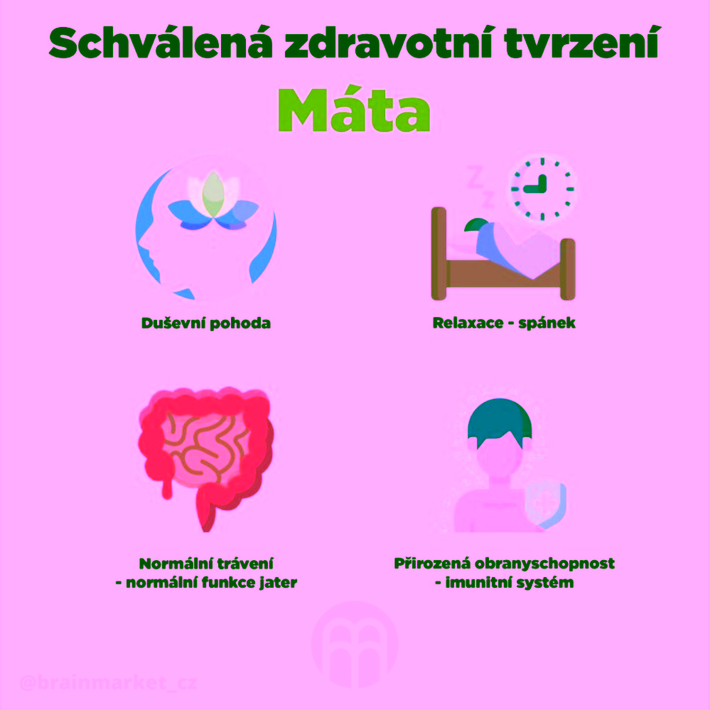 BrainMax Digestive Magic trávicí enzymy