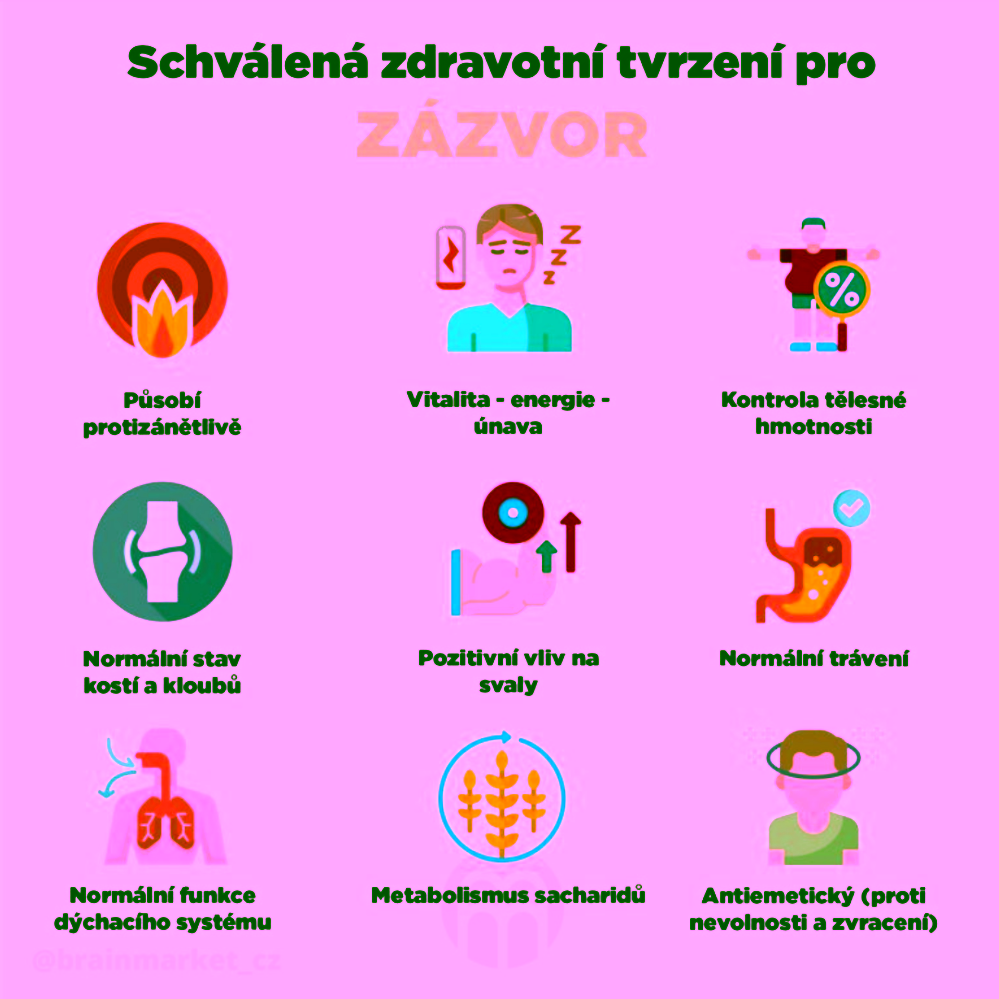 BrainMax Digestive Magic trávicí enzymy