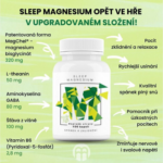 BrainMax Sleep Magnesium 320 mg