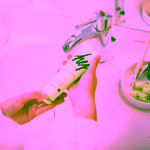 Hej Organic Čistící gel a peeling v jednom s kaktusem