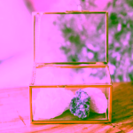 Yoga Day Dekorační skleněný box