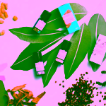 The Nature of Things Bio Eukalyptus organický esenciální olej