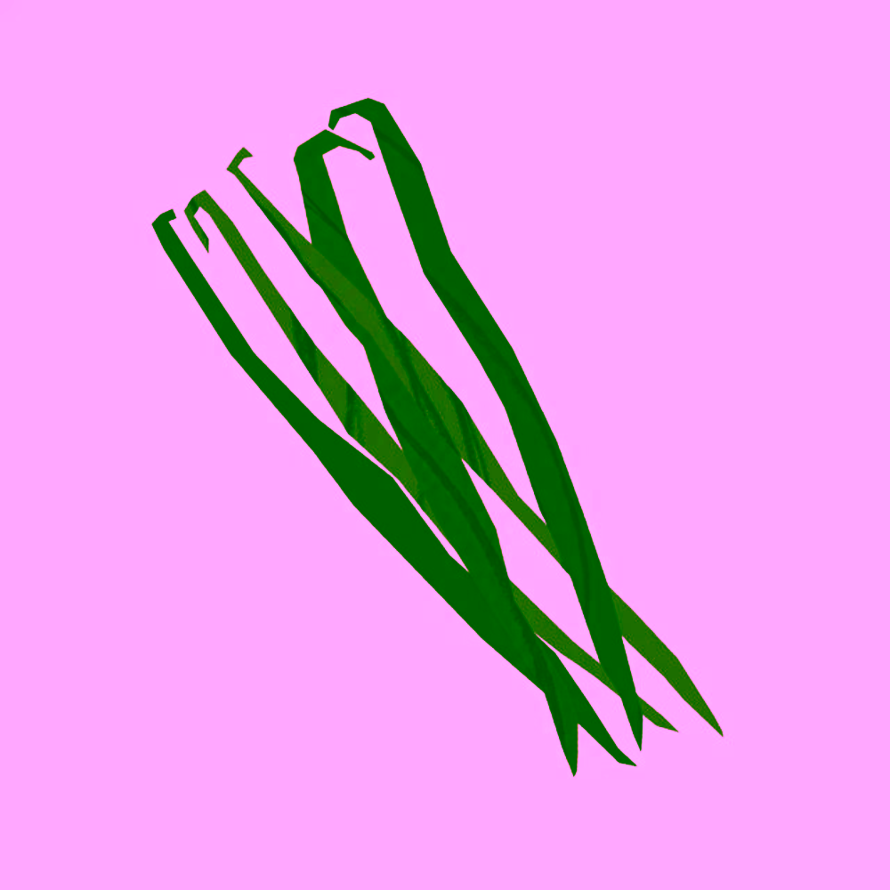 The Nature of Things Vanilka organický esenciální olej