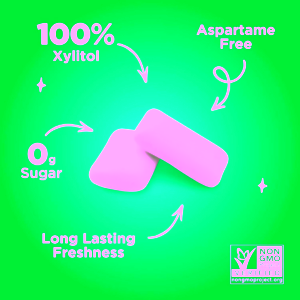 pur-zvykacky-s-xylitolem-spermint-55-kusu-2