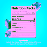 Pür žvýkačky s xylitolem Wintergreen