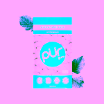 Pür žvýkačky s xylitolem Wintergreen