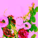 Biorythme přírodní odličovač očí Okno do duše