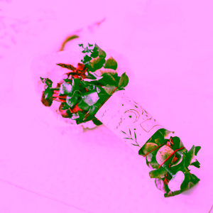 Yoga Day Vykuřovadlo Eukalyptus s dračí krví