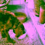 Bloomingville Buddy bílá kameninová miska