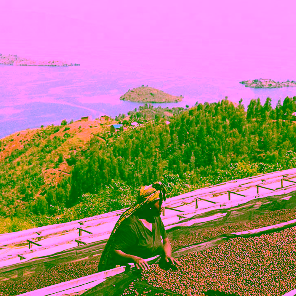 Father's Coffee Mother’s Blend na espresso Etiopie Uganda