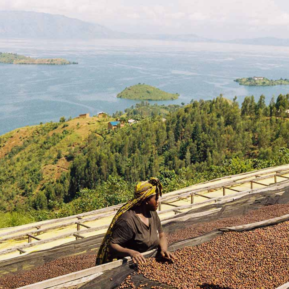 Father's Coffee Mothership Blend na espresso