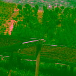 Father's Coffee Mother’s Blend na espresso Etiopie Uganda