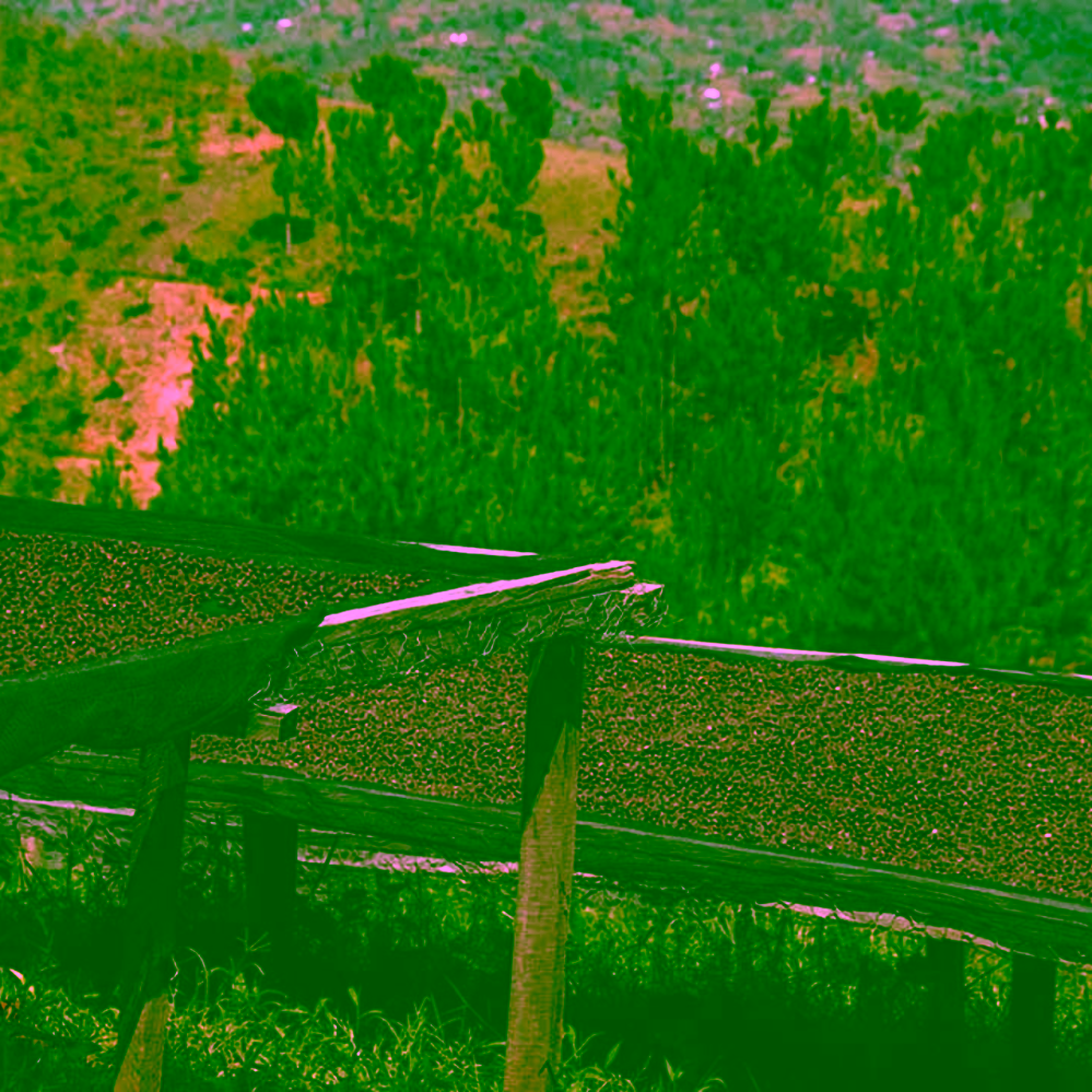 Father's Coffee Mother’s Blend na espresso Etiopie Uganda