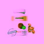 MycoMedica Agaricus