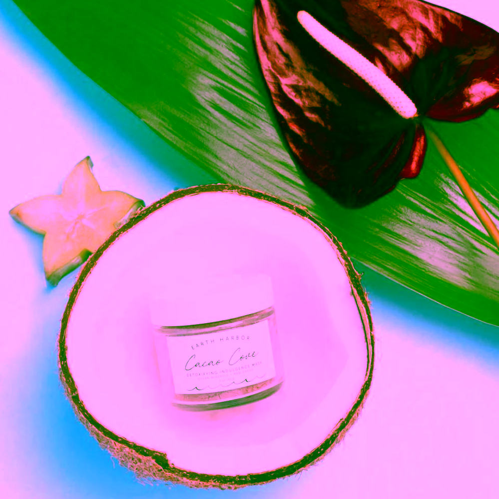 Earth Harbor Cacao Cove Detoxifying Indulgence Mask Detoxikační maska