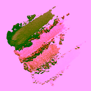 nui-cosmetics-paletka-vysoce-pigmentovanych-kompaktních-stinu-8g-palete-1-1