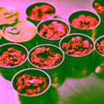 Pet Farm Family Krůta Moriak pro kočky