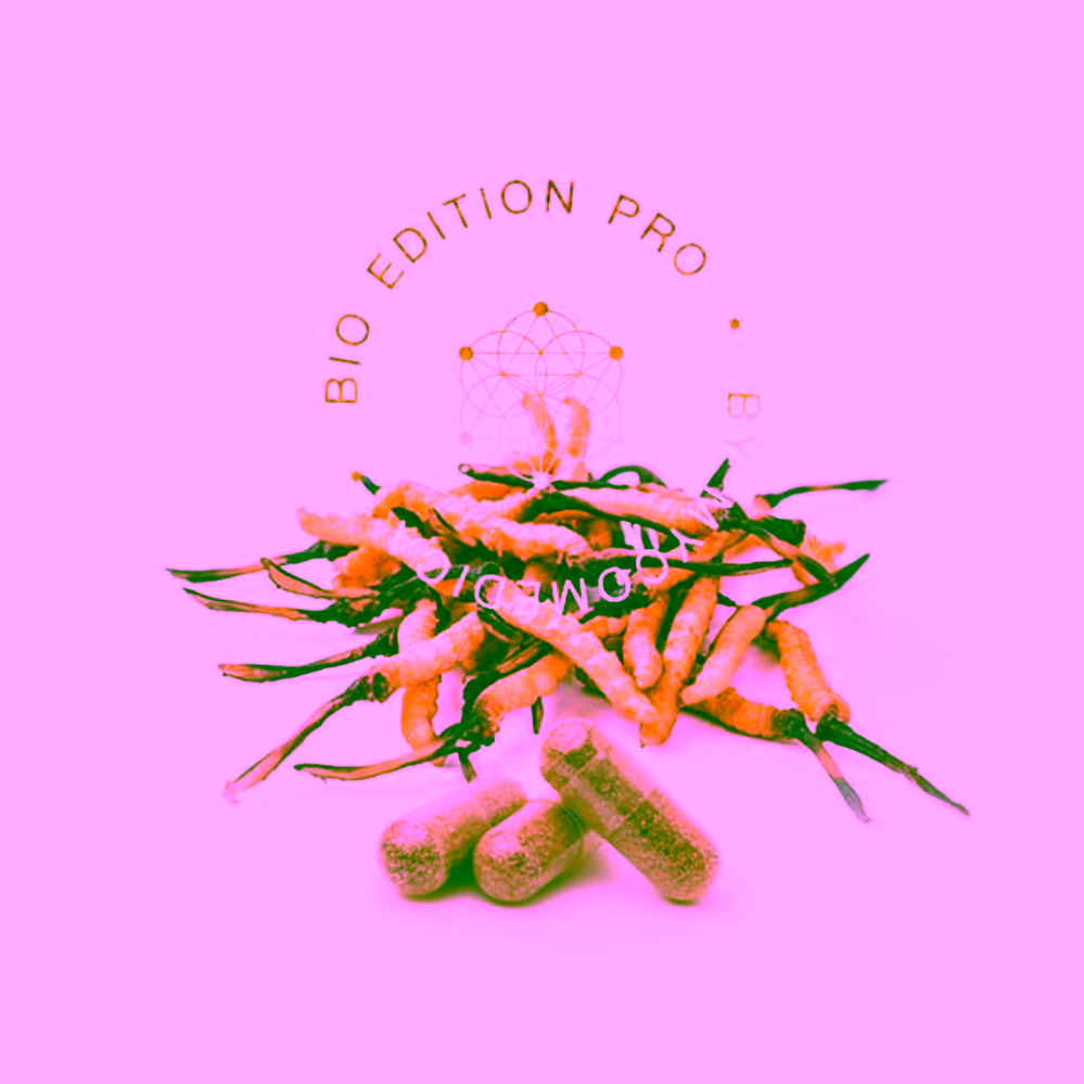 MycoMedica Cordyceps Pro