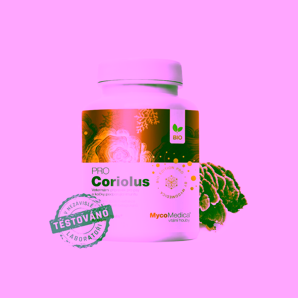 MycoMedica Coriolus Pro